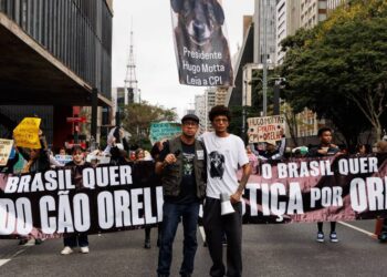 Manifestación en la Avenida Paulista reúne a cientos de personas en defensa de los animales y exige leyes más severas contra el maltrato animal