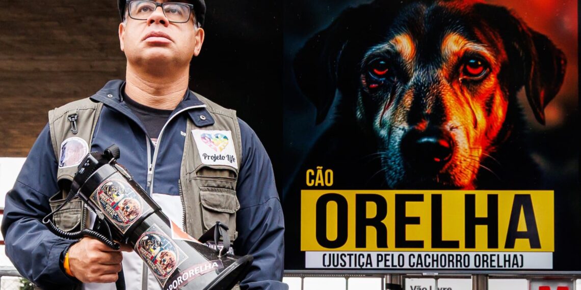 La protección animal cobra fuerza con una movilización en São Paulo y la entrega de casitas para perros comunitarios en Jandaia do Sul (PR)
