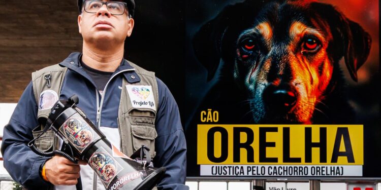 La protección animal cobra fuerza con una movilización en São Paulo y la entrega de casitas para perros comunitarios en Jandaia do Sul (PR)